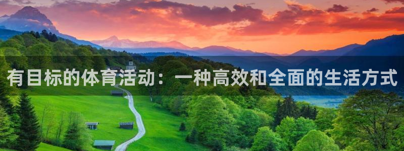yy易游官网下载平台注册要钱吗:有目标的体育活动:一种高效和