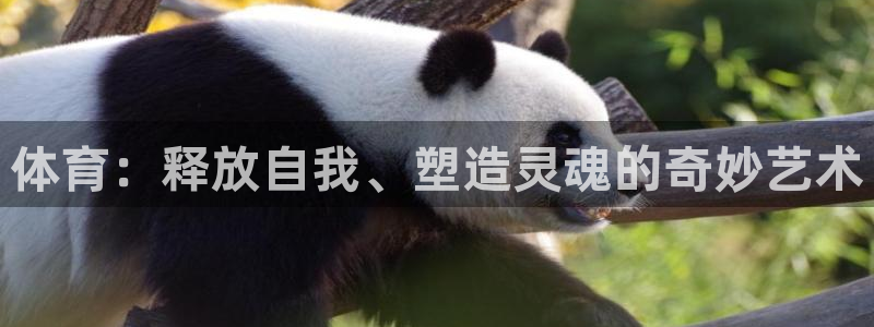 yy易游官网下载娱乐:体育:释放自我、塑造灵魂的奇妙艺术