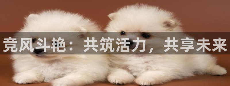 yy易游官网下载开户:竞风斗艳:共筑活力,共享未来